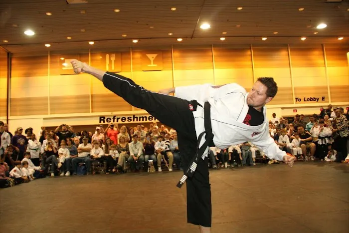 Tiger-Rock Martial Arts Picture 8