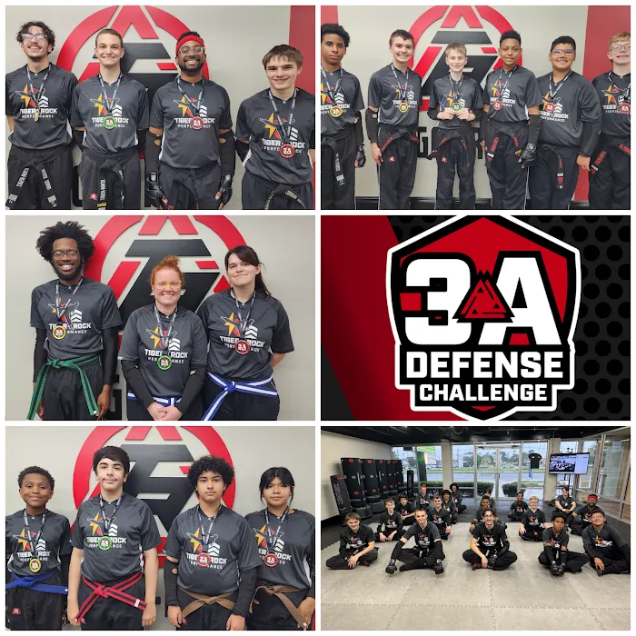 Tiger-Rock Martial Arts Picture 9