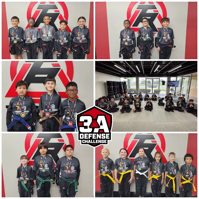 Tiger-Rock Martial Arts Picture 10