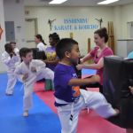 New Orleans Karate Institute, Inc.