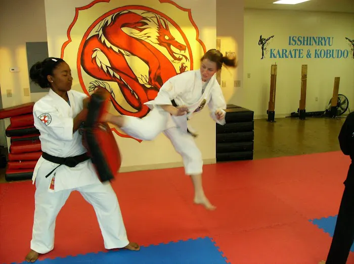 New Orleans Karate Institute, Inc. Picture 3