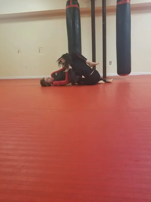 Ronin Martial Arts & Fitness Picture 3
