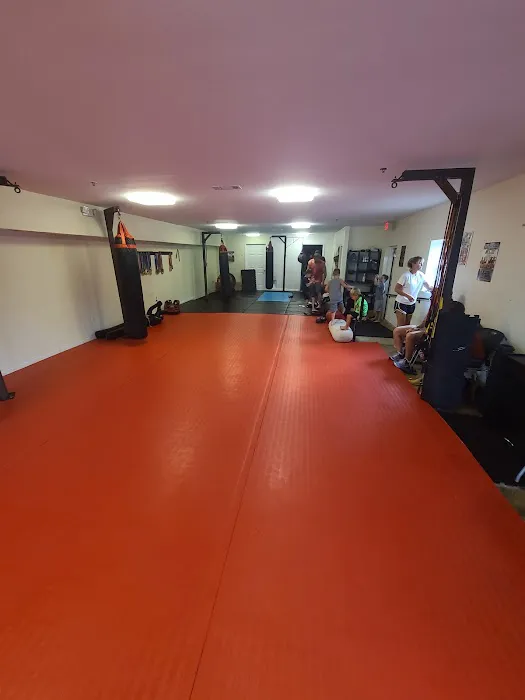 Ronin Martial Arts & Fitness Picture 8