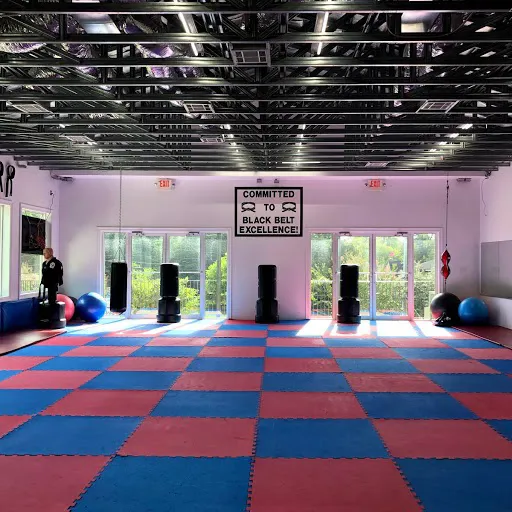 World Martial Arts Picture 1