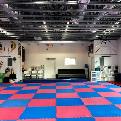 World Martial Arts Picture 4