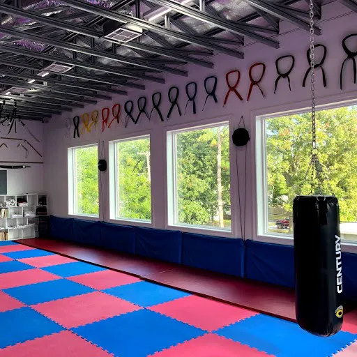 World Martial Arts Picture 3