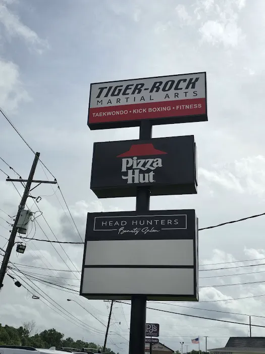 Tiger-Rock Martial Arts River Parish Picture 8