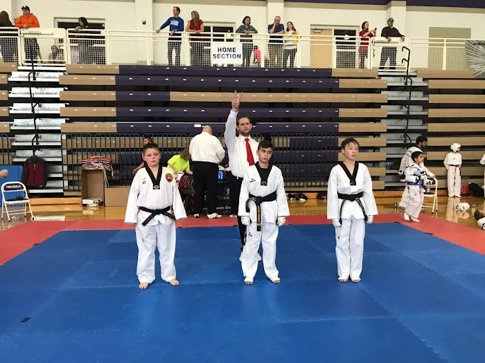 Koubeissi Tae Kwon DO School Picture 5