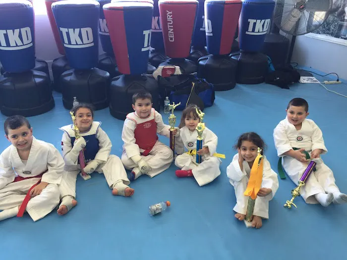 Koubeissi Tae Kwon DO School Picture 6