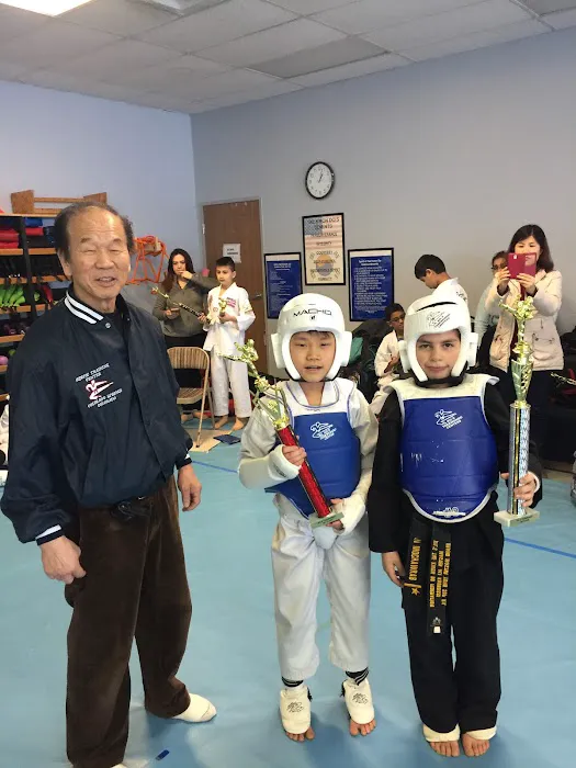 Koubeissi Tae Kwon DO School Picture 8