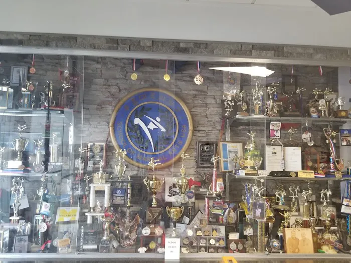 School of Martial Arts USA Picture 3