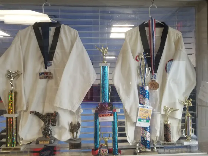 School of Martial Arts USA Picture 2