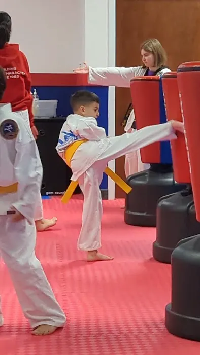 School of Martial Arts USA Picture 1