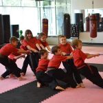 Allen Park Martial Arts Center