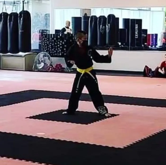 Allen Park Martial Arts Center Picture 2