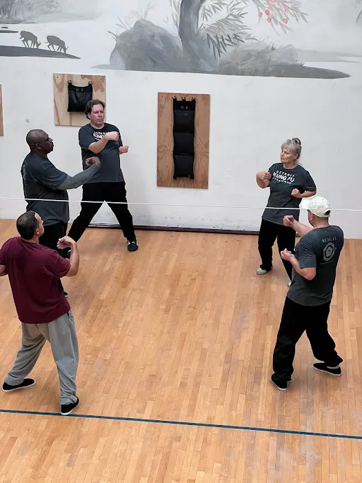 Detroit Kung Fu Academy Downriver Picture 10
