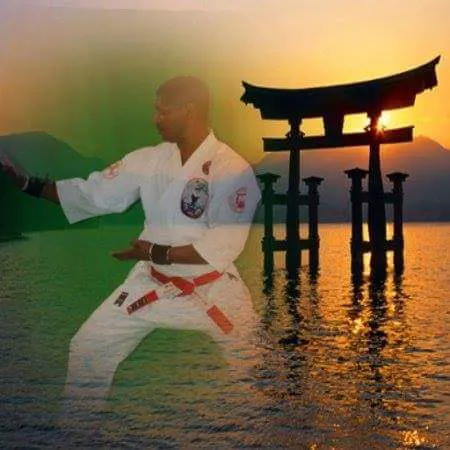 Detroit Martial Arts Institute Picture 3
