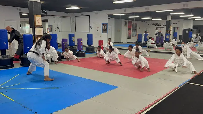 Detroit Martial Arts Institute Picture 5