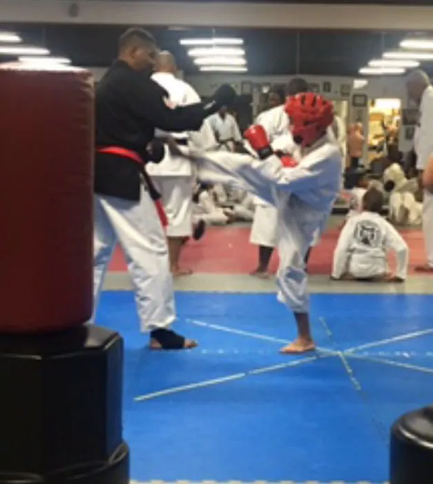 Detroit Martial Arts Institute Picture 6