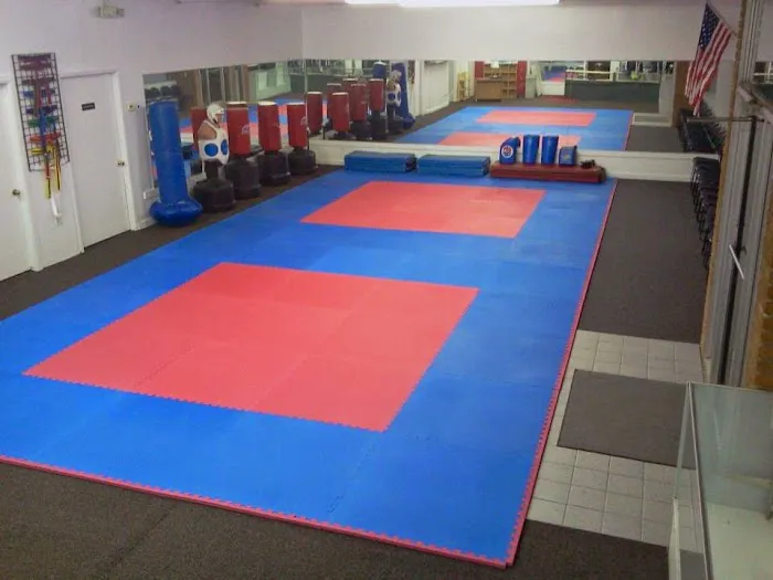 School of Martial Arts USA-Wyandotte Picture 1