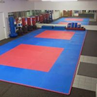 School of Martial Arts USA-Wyandotte ico