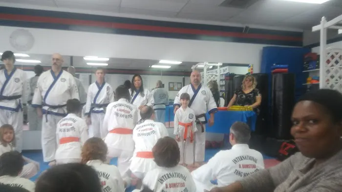Michigan Karate Academy Picture 1