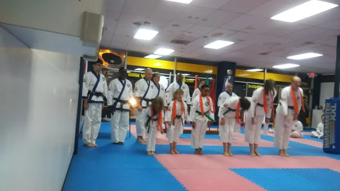 Michigan Karate Academy Picture 2