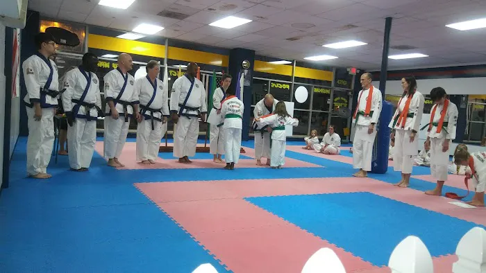 Michigan Karate Academy Picture 3