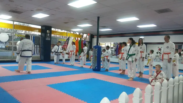 Michigan Karate Academy Picture 4