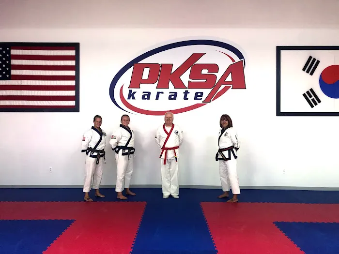 PKSA Karate Detroit Picture 2