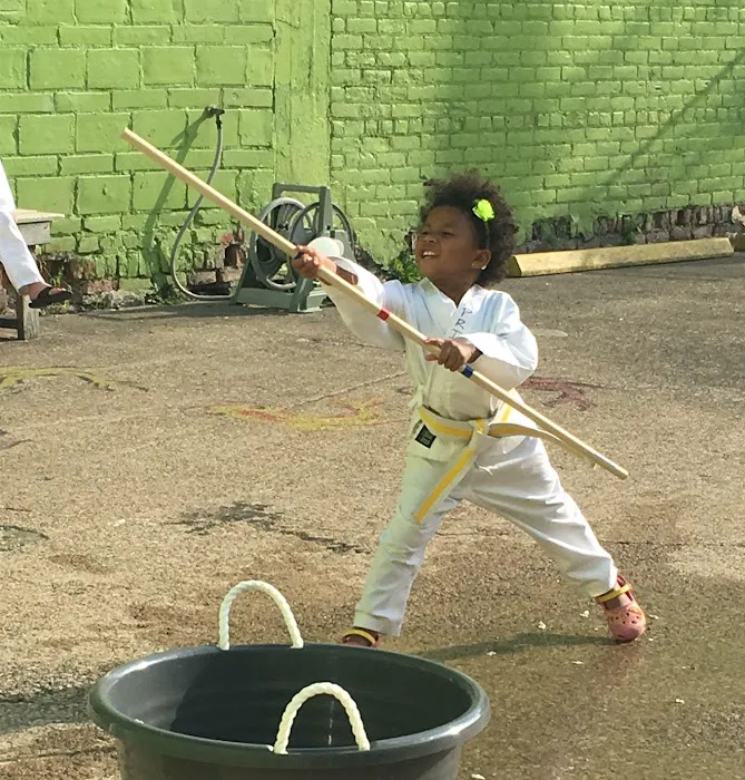 PKSA Karate Detroit Picture 6