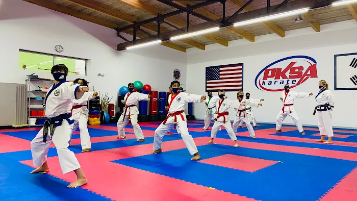 PKSA Karate Detroit Picture 7