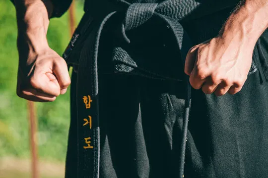 Michigan Hapkido Picture 4