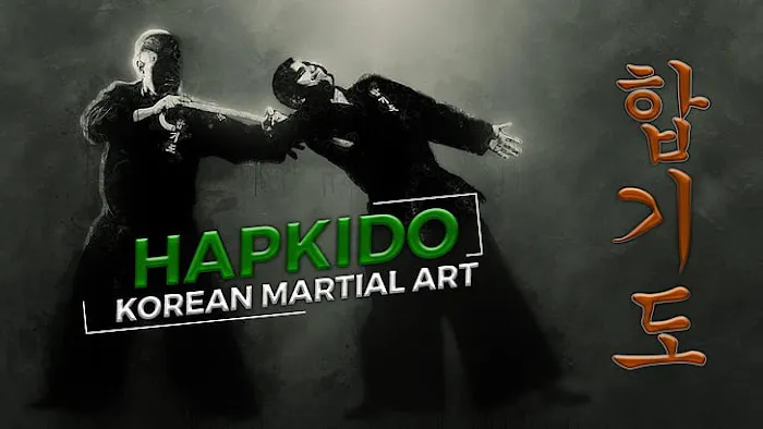 Michigan Hapkido Picture 2
