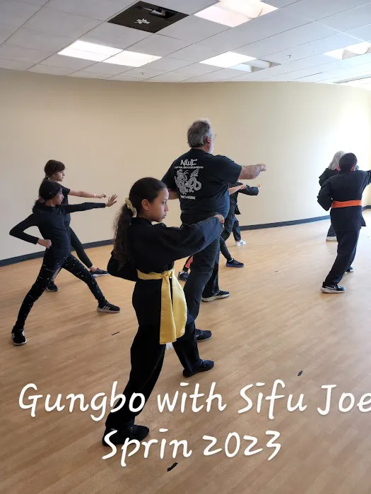 NWC Martial Arts Academy Michigan Picture 2