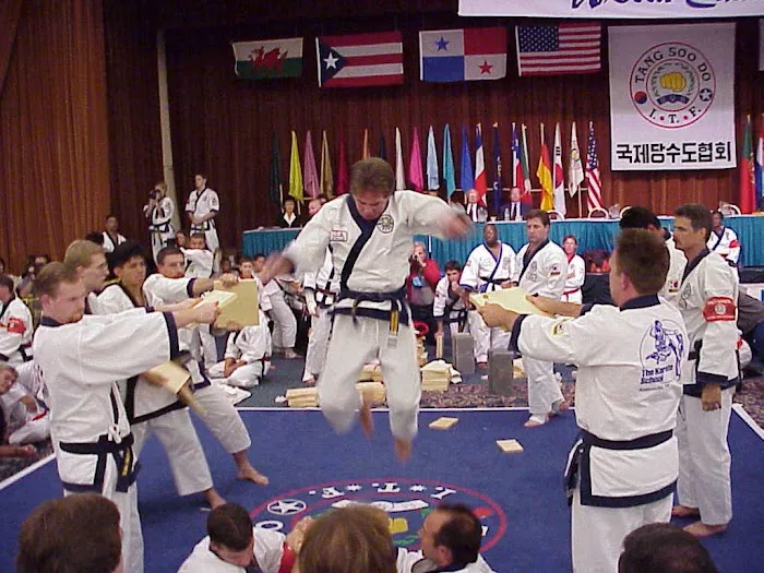 World Class Institute of Martial Arts Picture 2