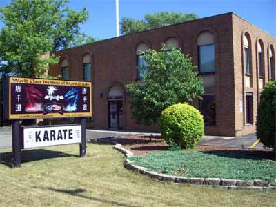 World Class Institute of Martial Arts Picture 1