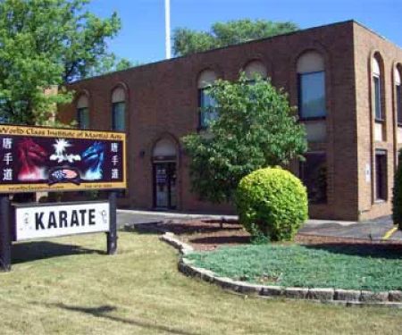 World Class Institute of Martial Arts