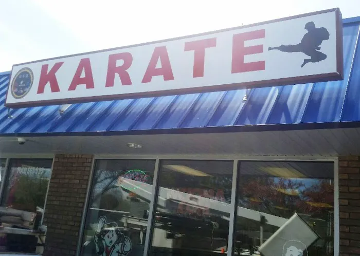 World Class Institute of Martial Arts Picture 4