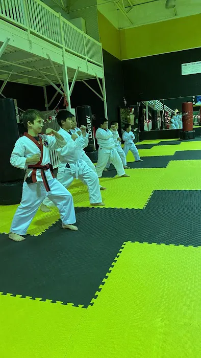 World Class Institute of Martial Arts Picture 7