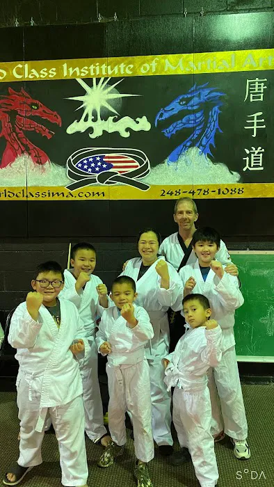 World Class Institute of Martial Arts Picture 5