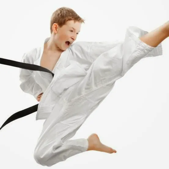 Pro Martial Arts Canton Picture 10