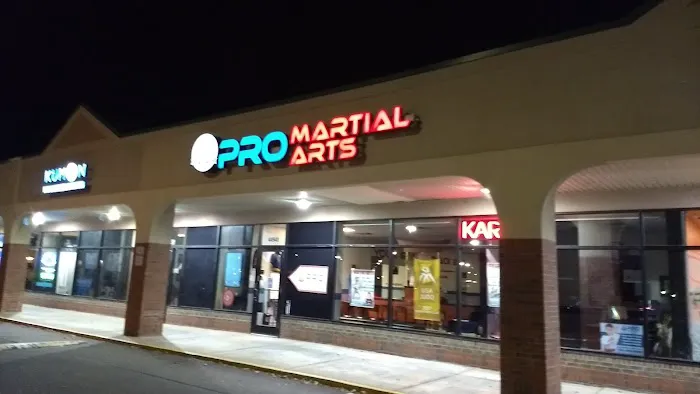Pro Martial Arts Canton Picture 7