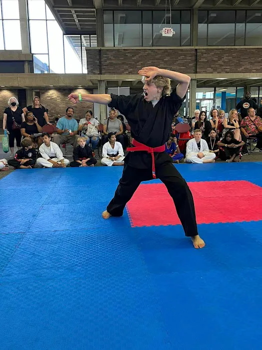 Revolution Martial Arts Mi Picture 5