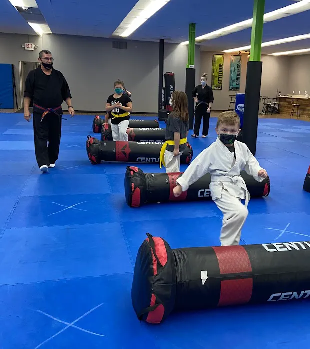 Revolution Martial Arts Mi Picture 3