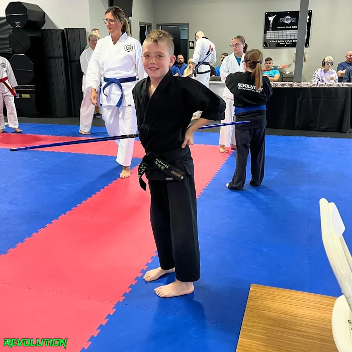 Revolution Martial Arts Mi Picture 6
