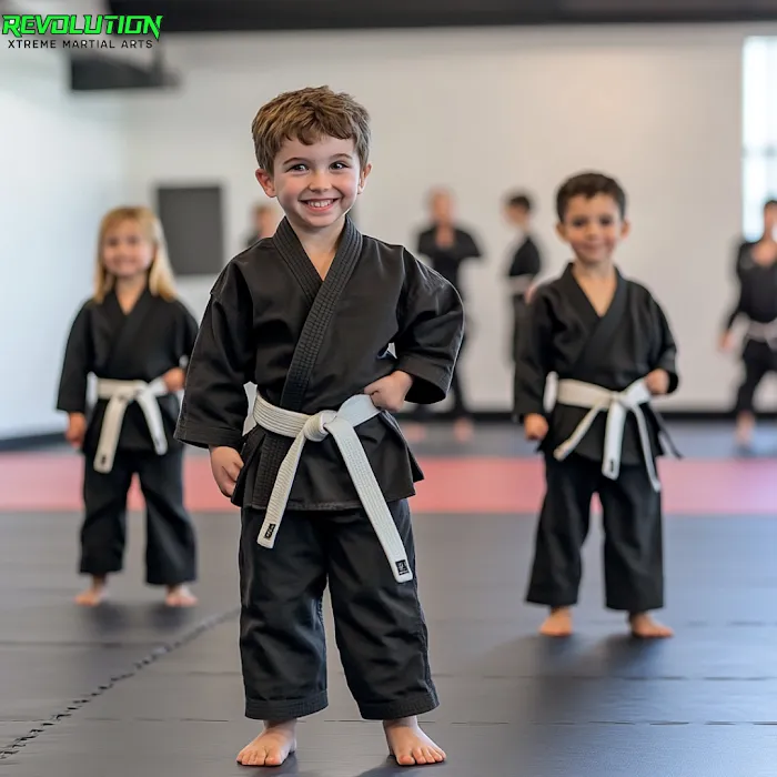 Revolution Martial Arts Mi Picture 8