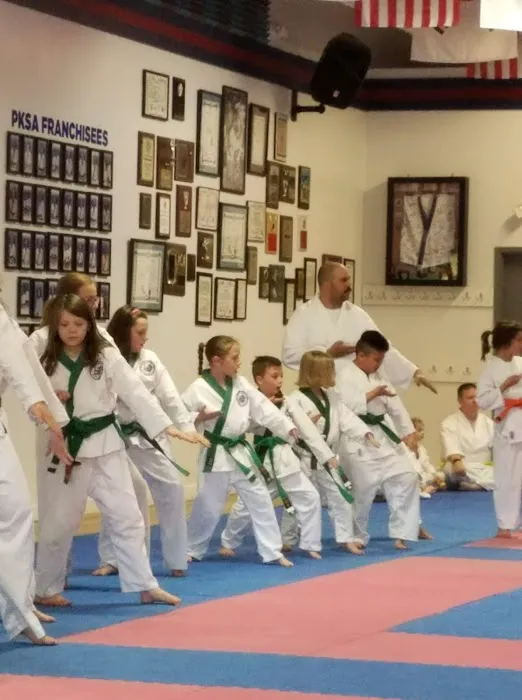 Pksa Karate Flat Rock Picture 1
