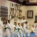 Pksa Karate Flat Rock