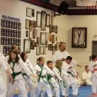Pksa Karate Flat Rock ico